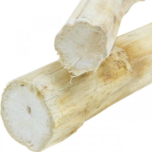 Article Tige de tournesol 20cm blanc 12 pcs