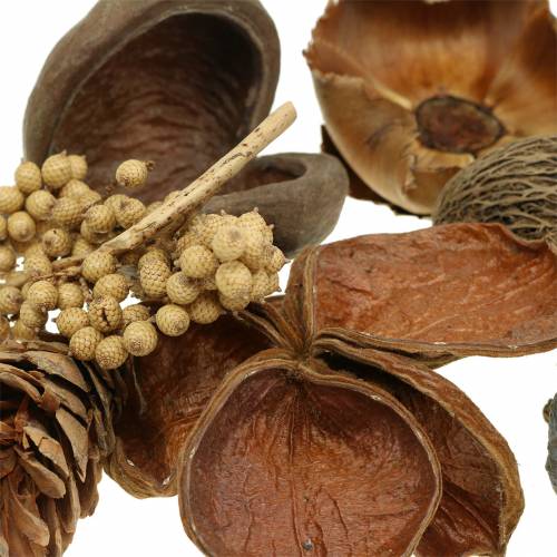 Floristik24 Assortiment exotique avec cônes strobus nature 300g