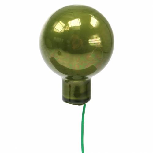 Floristik24 Miroir décoration Noël baies vert Ø2.5cm 140p