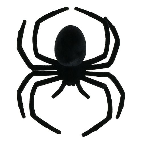 Floristik24 Araignée noire 16cm floquée