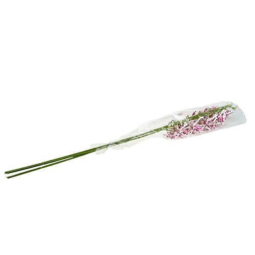Floristik24 Orchidée Brassia rose vif et blanche 108cm 3P