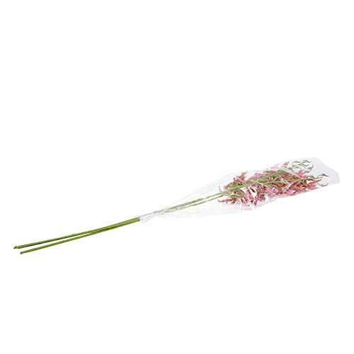 Floristik24 Orchidée Brassia rose vif et orange 108cm 3P