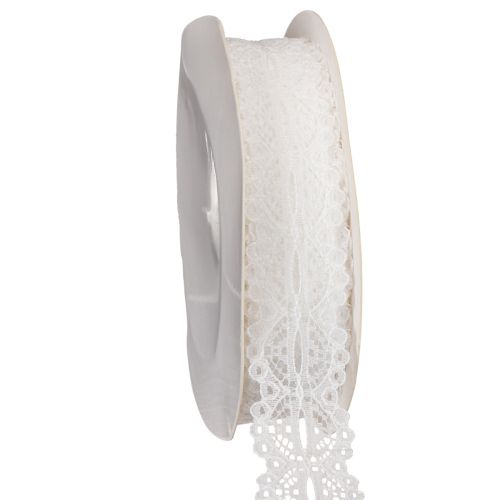 Ruban décoratif en coton à motif dentelle, enroulé sur un rouleau, idéal pour les loisirs créatifs et la décoration. Largeur : 25 mm. Longueur : 10 m.