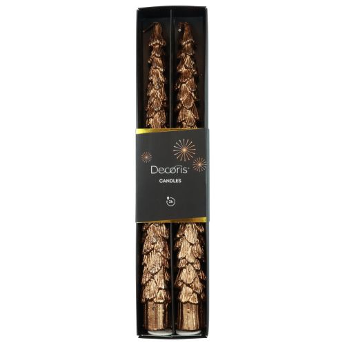 Floristik24 Bougies coniques Bougies métalliques marron Bougies de Noël 25cm 2pcs