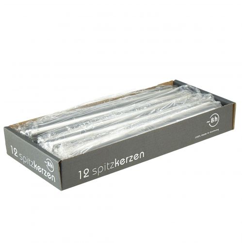 Floristik24 Bougies coniques argent 250/23 12pcs