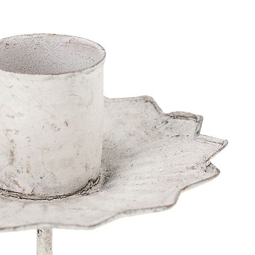 Floristik24 Bougeoir conique à coller Ø7cm crème 4 pièces