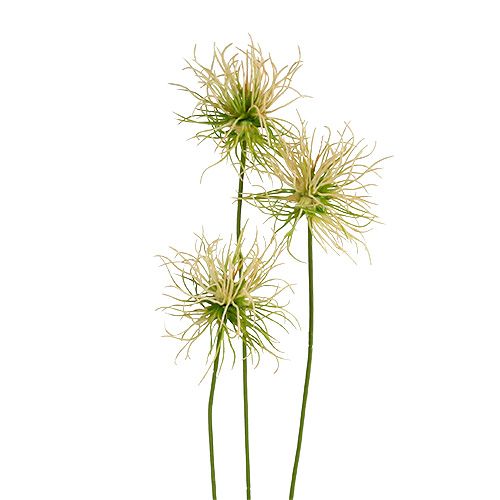 Floristik24 Branches de Xanthium vert crème 63 cm 4 p.