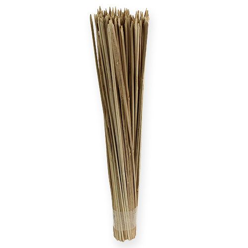 Article Chip sticks 50cm naturel 100p