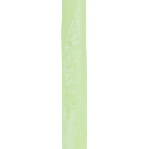 Article Bougies coniques de couleur vert clair 21 × 240mm 12pcs
