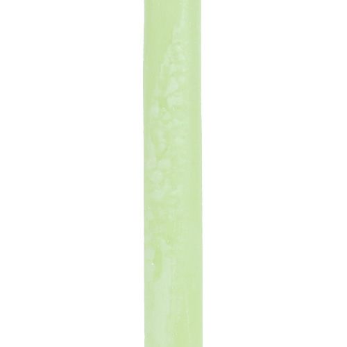 Article Bougies coniques de couleur unie vert lime 21×240mm 12 pcs