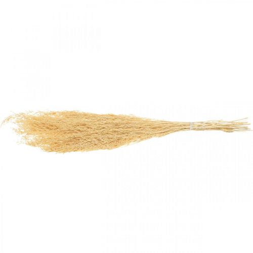 Floristik24 Crème de lavande de mer séchée Statice Dry Deco 100g