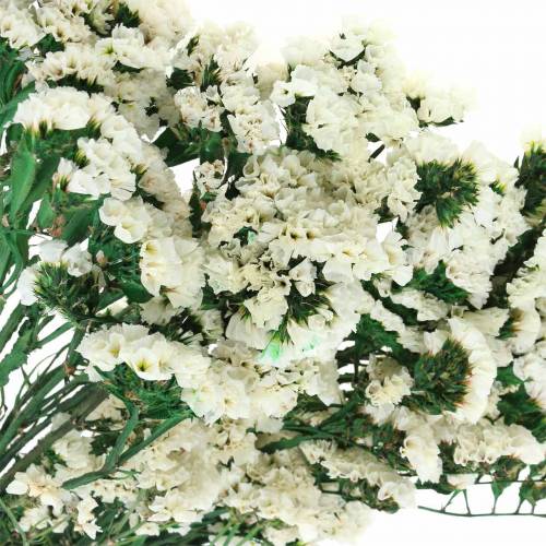 Article Bouquet de fleurs séchées lavande de mer blanc 40–55cm 120g