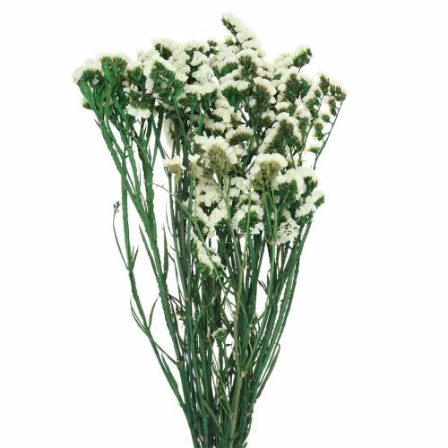 Floristik24 Bouquet de fleurs séchées lavande de mer blanc 40–55cm 120g