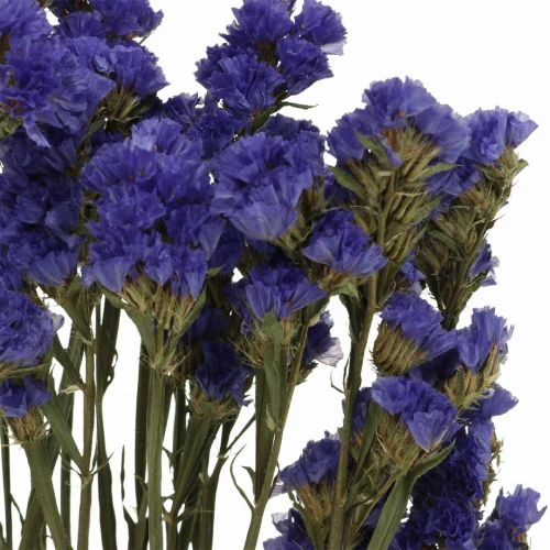 Article Bouquet de Lavande de Mer, Fleurs Séchées, Lavande de Mer, Statice Tatarica Bleu L46–57cm 23g
