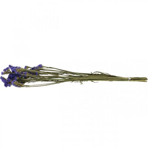 Article Bouquet de Lavande de Mer, Fleurs Séchées, Lavande de Mer, Statice Tatarica Bleu L46–57cm 23g
