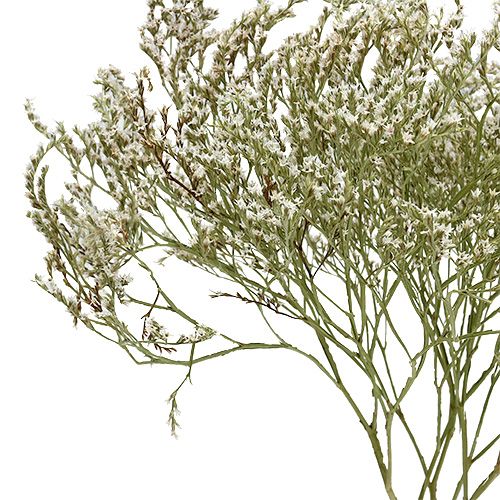 Article Lavande de mer Statice Tatarica fleurs séchées naturelles 2kg