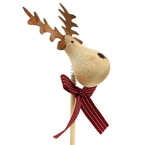 Floristik24 Plug Moose Nature, Blanc 7cm L30cm 8pcs