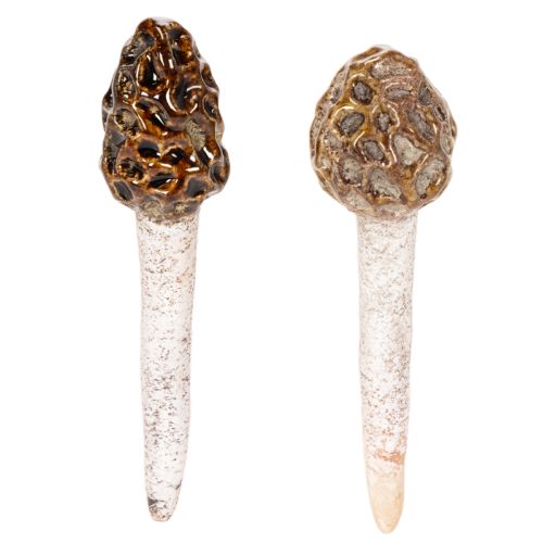 Morilles artificielles décoratives à piquer pour pots de fleurs et tables, 13 cm, lot de 2 acheter | Floristik24.be