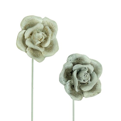 Floristik24 Plug roses assorties. Ø5,5cm L19cm 4 pièces