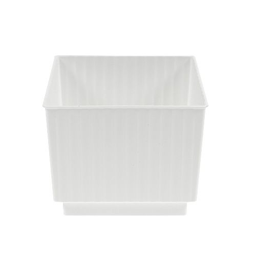 Floristik24 Cubes pour mousse florale 6,5cm blanc 20 pcs