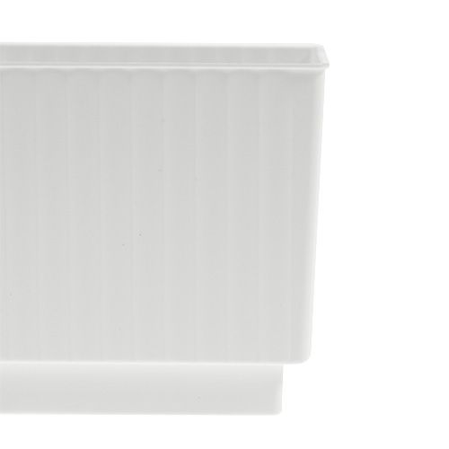 Floristik24 Cubes pour mousse florale 6,5cm blanc 20 pcs