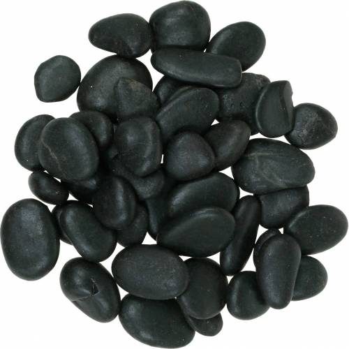 Floristik24 Galets de rivière Naturel Noir 2-3cm 1kg