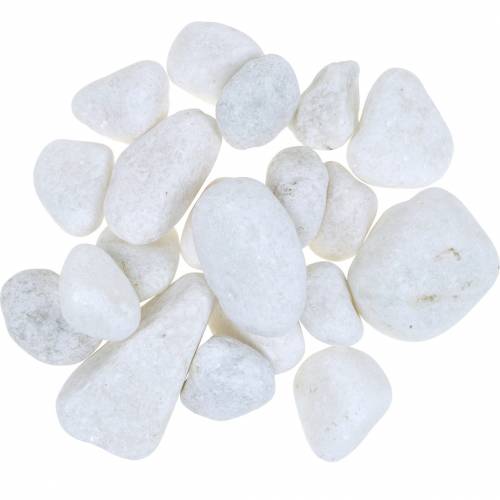 Floristik24 Galets de rivière Blanc Naturel 3-5cm 1kg