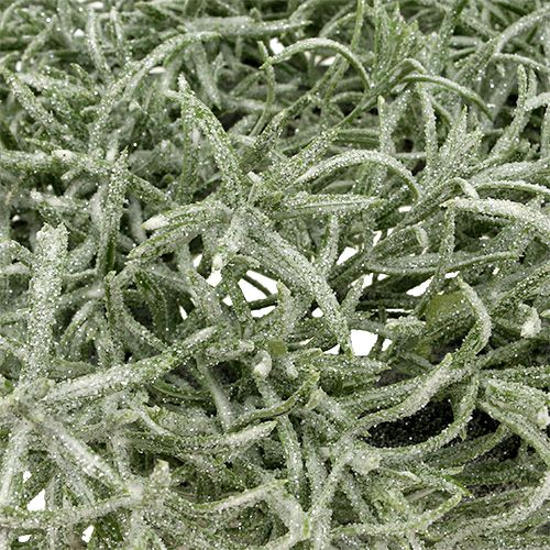 Couronne décorative Ø30cm avec vert pailleté