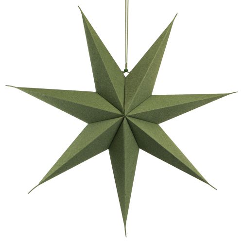 Article Décoration étoile poinsettia papier jute vert 60x15cm
