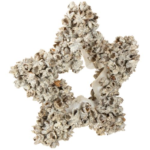 Article Etoile à suspendre décoration de Noël blanche, pailletée Ø15cm