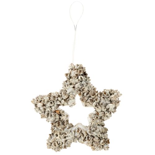 Article Etoile à suspendre décoration de Noël blanche, pailletée Ø15cm