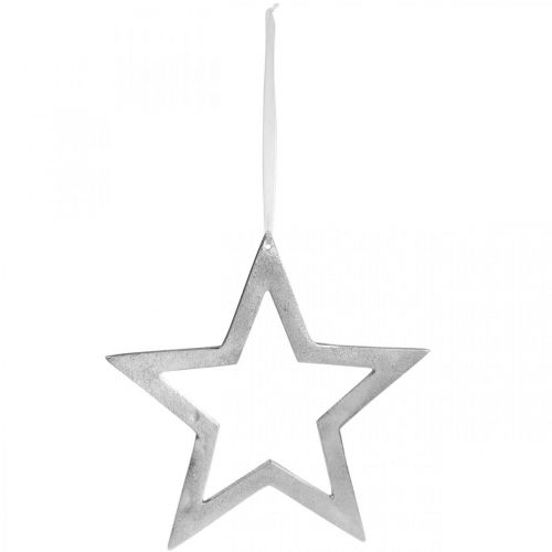 Floristik24 Etoile décorative à accrocher décoration de porte en aluminium argenté Ø28cm