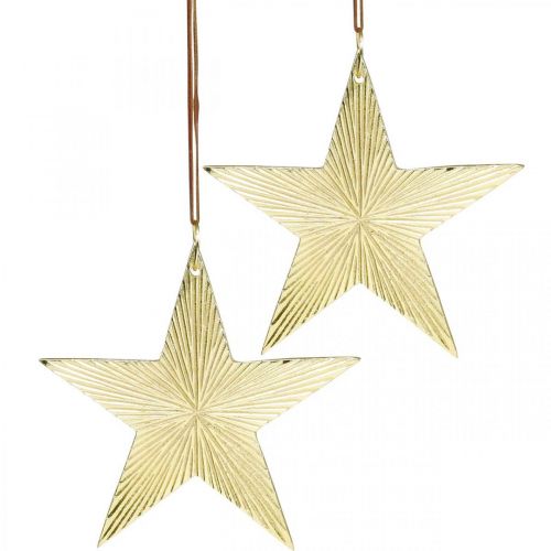 Floristik24 Etoile dorée, décoration de l&#39;Avent, pendentif décoration pour Noël 12 × 13cm 2pcs