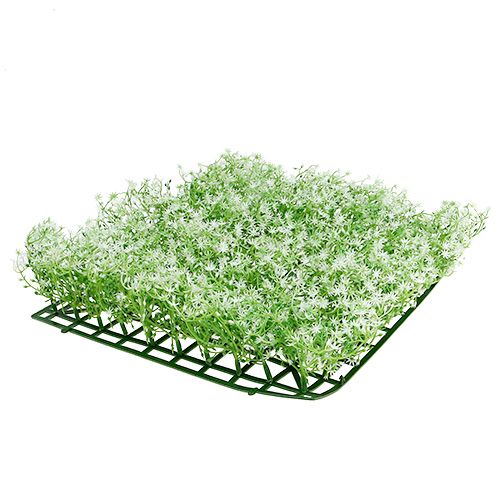 Floristik24 Tapis de fleurs étoilées 25 x 25 crème