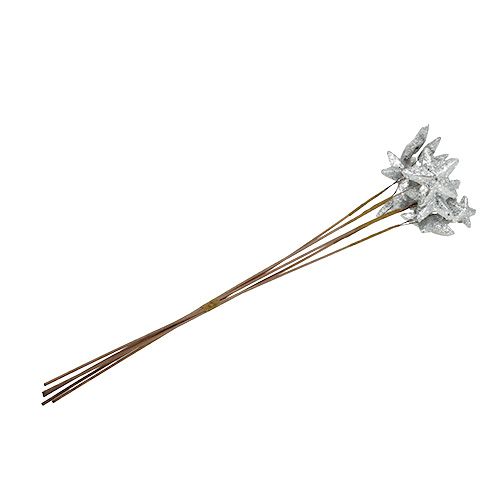 Floristik24 Étoiles sur la tige d'argent 60cm 5pcs.