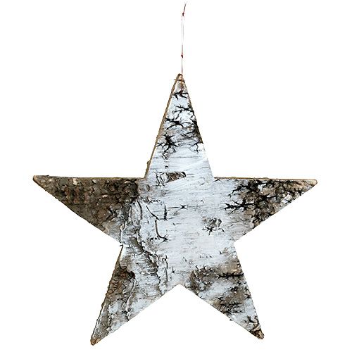 Floristik24 Étoiles en écorce de bouleau blanche 29cm 3pcs