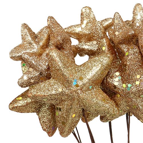 Floristik24 Étoiles livrées avec des paillettes d&#39;or 60cm 5pcs