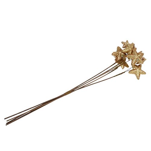 Floristik24 Étoiles livrées avec des paillettes d&#39;or 60cm 5pcs