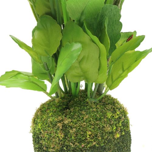 Floristik24 Pensée avec boule de mousse blanche 31cm