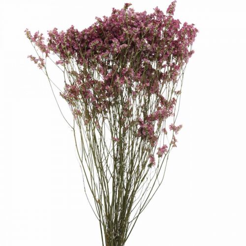 Floristik24 Statice, Lavande de Mer, Fleur Séchée, Bouquet de Fleurs Sauvages Rose L52cm 23g