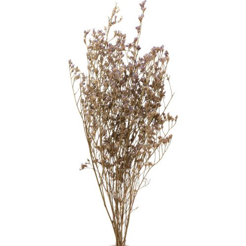 Floristik24 Fleurs Séchées Lilas Limonium Plage Violet 70cm 50g
