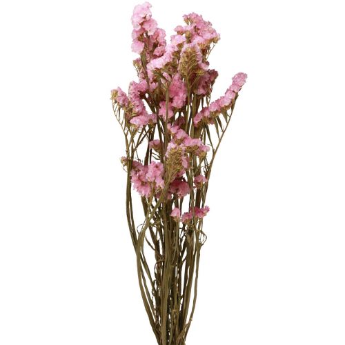 Floristik24 Fleurs Séchées Lilas Rose Limonium Plage 60cm 50g