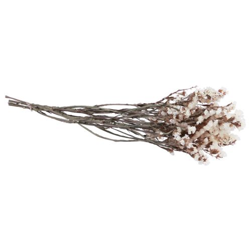 Floristik24 Fleurs Séchées Lilas Blanc Limonium Plage 60cm 35g