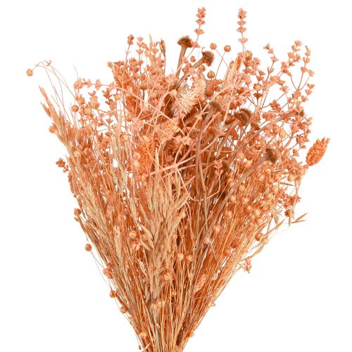Article Bouquet de fleurs séchées orange abricot bouquet sec 45cm 80g