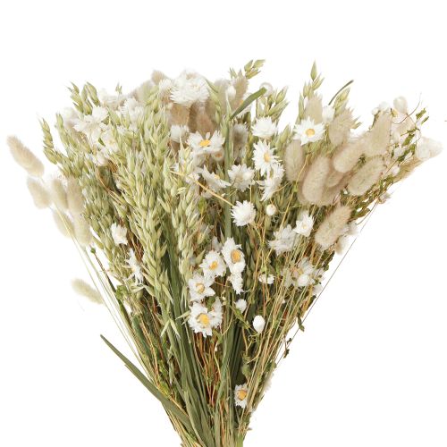 Floristik24 Bouquet de fleurs séchées fleurs paille blanches avoine Lagurus 55cm