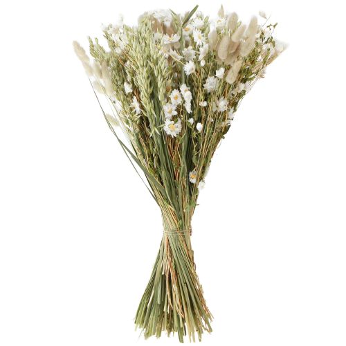 Floristik24 Bouquet de fleurs séchées fleurs paille blanches avoine Lagurus 55cm