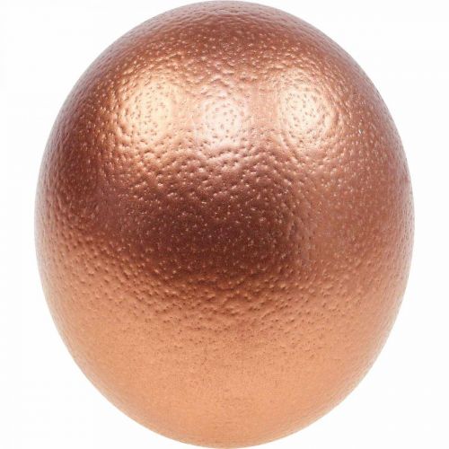 Floristik24 Décoration oeuf d&#39;autruche soufflé déco Pâques cuivre Ø12cm H14cm