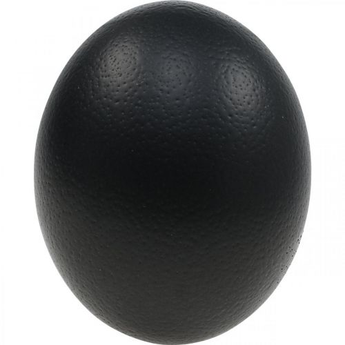 Article Décoration oeuf d'autruche soufflé déco Pâques noir Ø12cm H14cm