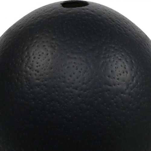 Décoration oeuf d'autruche soufflé déco Pâques noir Ø12cm H14cm | Floristik24.be