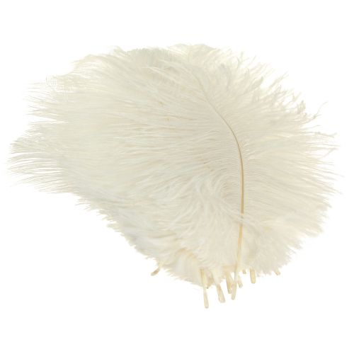 Article Exquise plume décorative blanc crème plume d&#39;autruche blanche 20-25 cm 12 pièces.